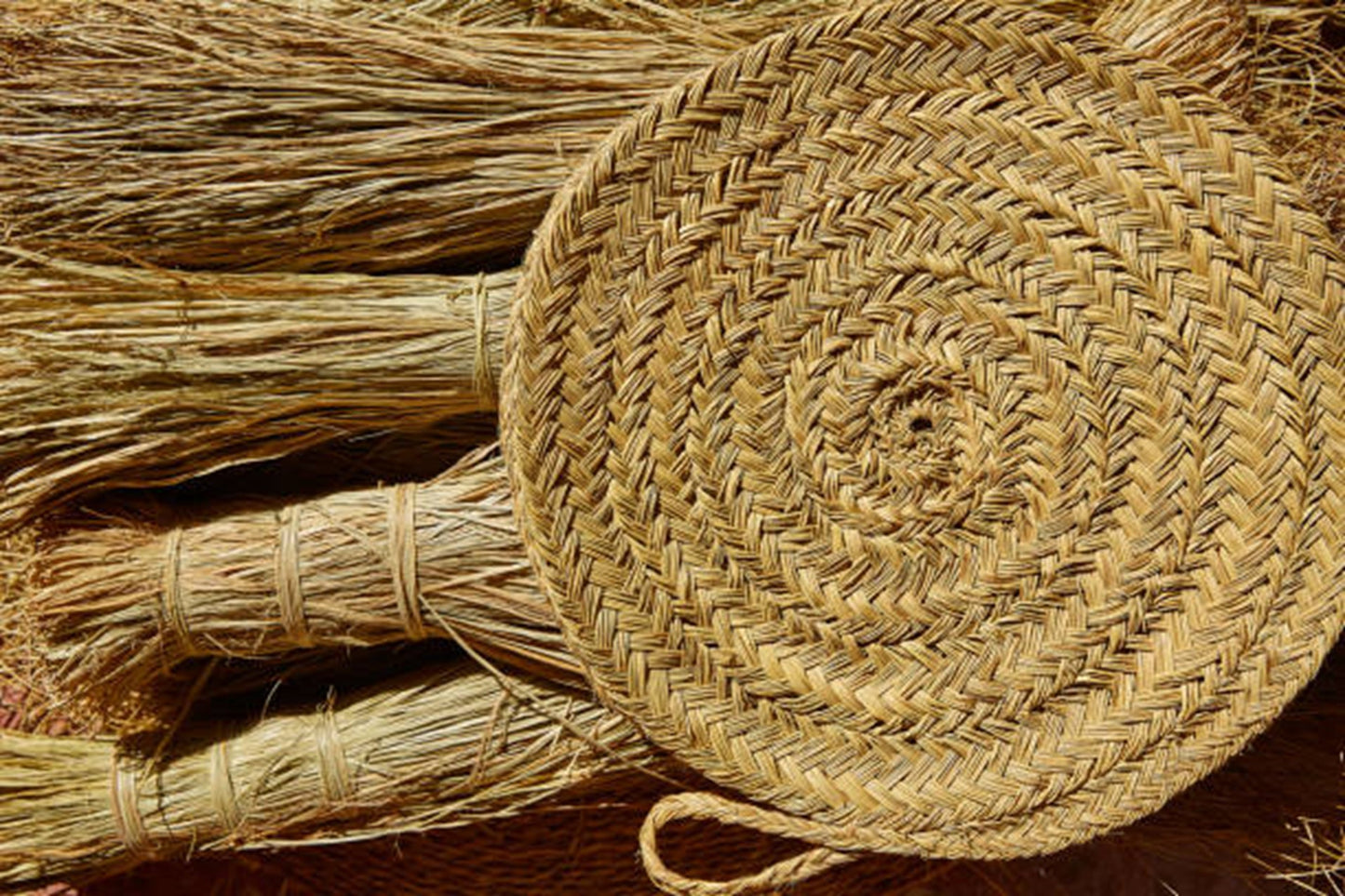 Espadrilles Bébé Phoques